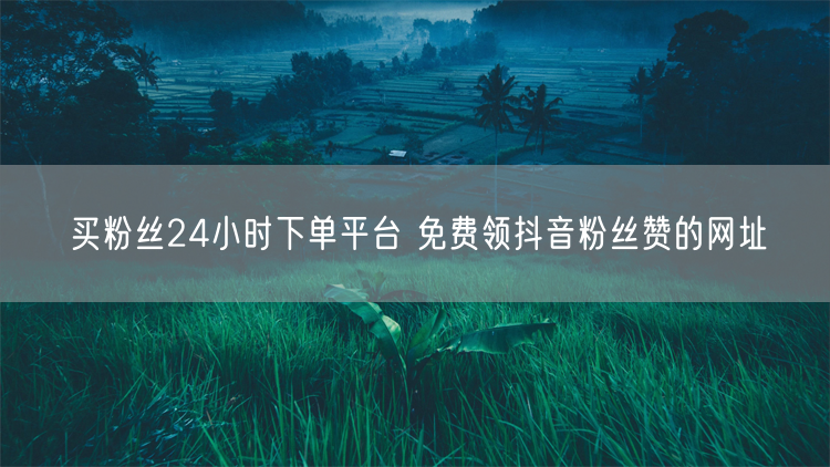 买粉丝24小时下单平台 免费领抖音粉丝赞的网址