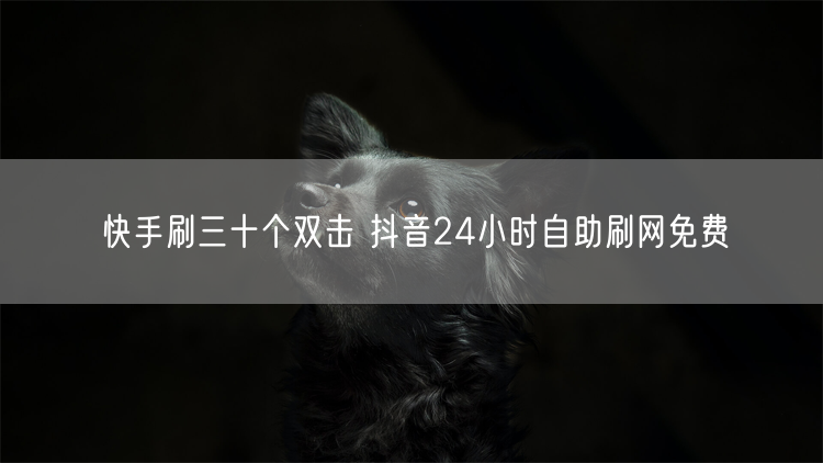 快手刷三十个双击 抖音24小时自助刷网免费