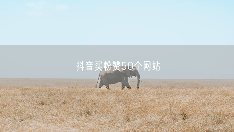 抖音买粉赞50个网站
