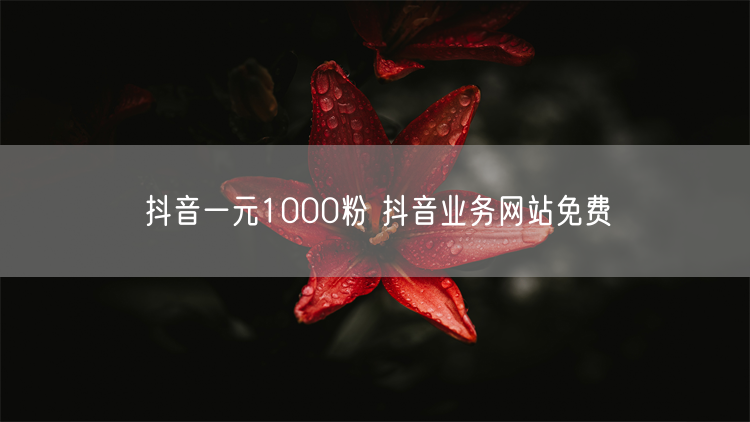 抖音一元1000粉 抖音业务网站免费
