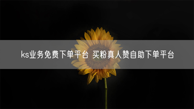 ks业务免费下单平台 买粉真人赞自助下单平台
