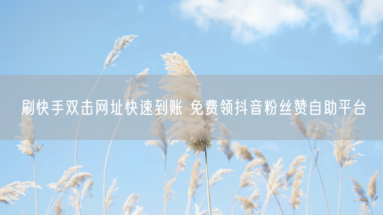 刷快手双击网址快速到账 免费领抖音粉丝赞自助平台