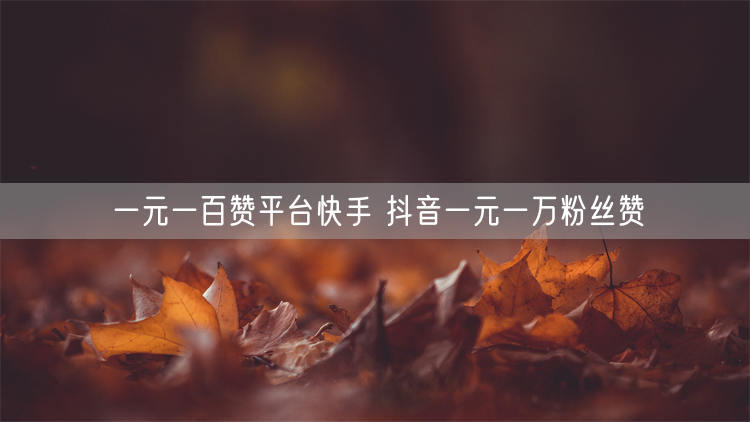 一元一百赞平台快手 抖音一元一万粉丝赞