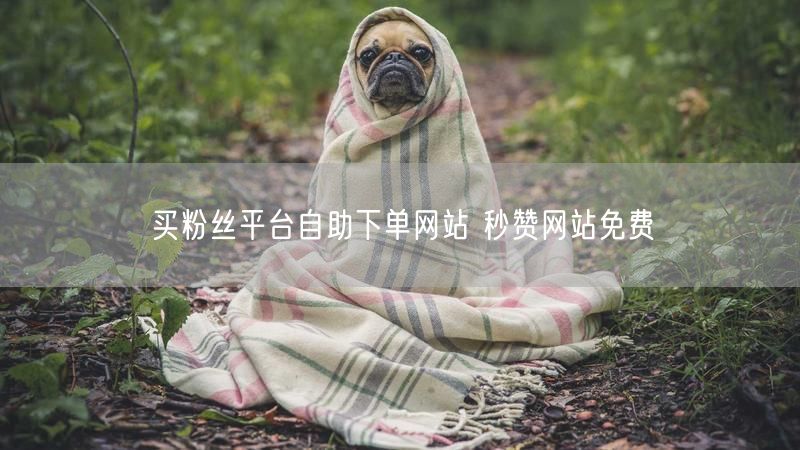 买粉丝平台自助下单网站 秒赞网站免费