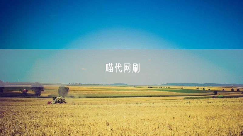 喵代网刷