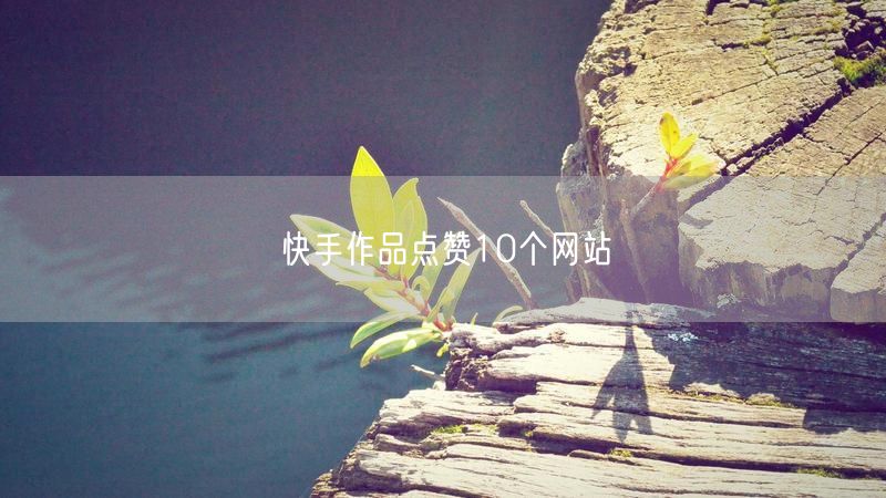 快手作品点赞10个网站