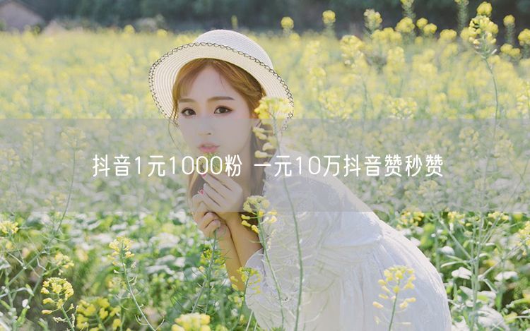 抖音1元1000粉 一元10万抖音赞秒赞
