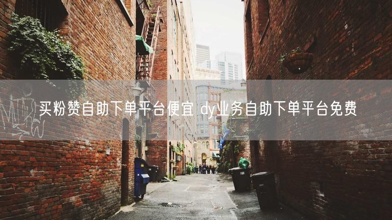 买粉赞自助下单平台便宜 dy业务自助下单平台免费