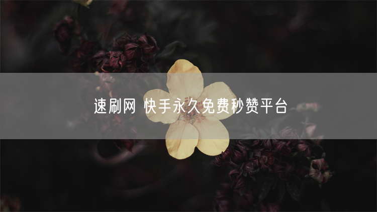 速刷网 快手永久免费秒赞平台