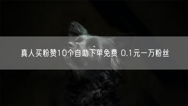 真人买粉赞10个自助下单免费 0.1元一万粉丝