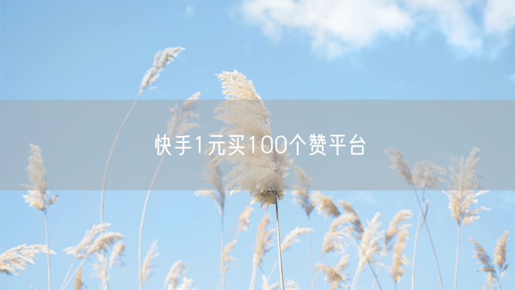 快手1元买100个赞平台