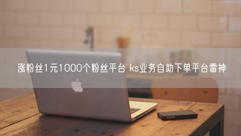 涨粉丝1元1000个粉丝平台 ks业务自助下单平台雷神