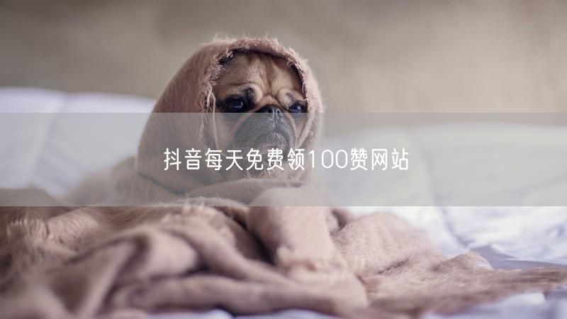 抖音每天免费领100赞网站