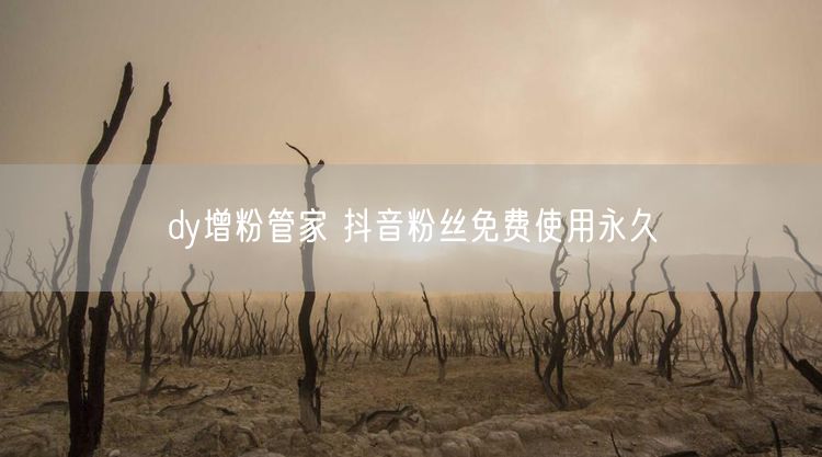 dy增粉管家 抖音粉丝免费使用永久