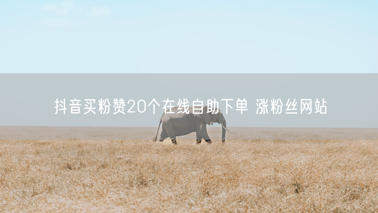 抖音买粉赞20个在线自助下单 涨粉丝网站