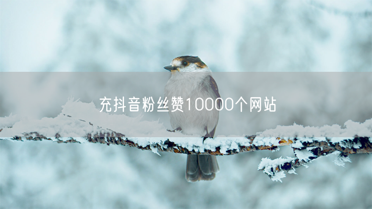 充抖音粉丝赞10000个网站