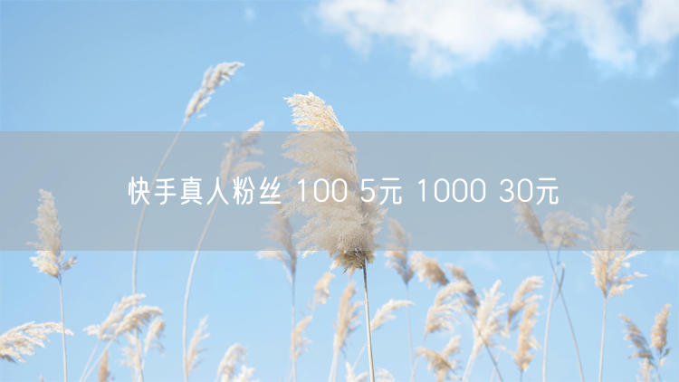 快手真人粉丝 100 5元 1000 30元
