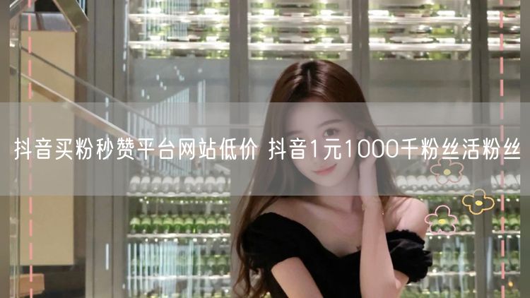 抖音买粉秒赞平台网站低价 抖音1元1000千粉丝活粉丝