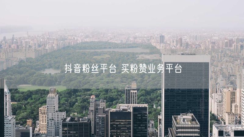 抖音粉丝平台 买粉赞业务平台