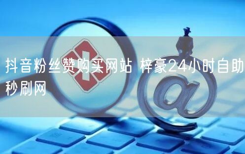 抖音粉丝赞购买网站 梓豪24小时自助秒刷网