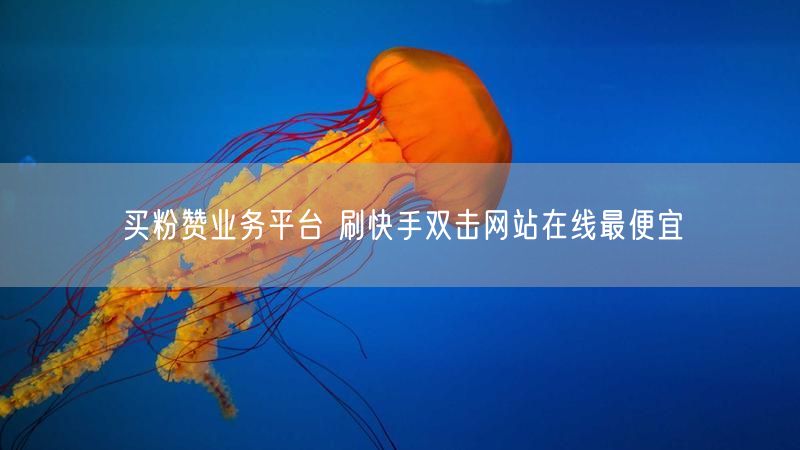 买粉赞业务平台 刷快手双击网站在线最便宜