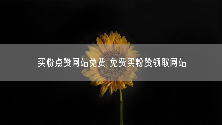 买粉点赞网站免费 免费买粉赞领取网站
