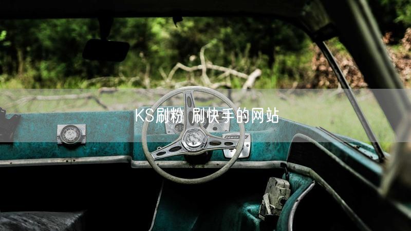 KS刷粉 刷快手的网站