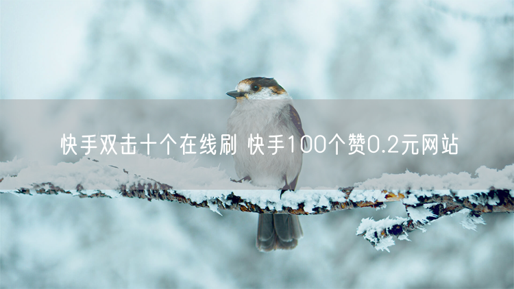 快手双击十个在线刷 快手100个赞0.2元网站