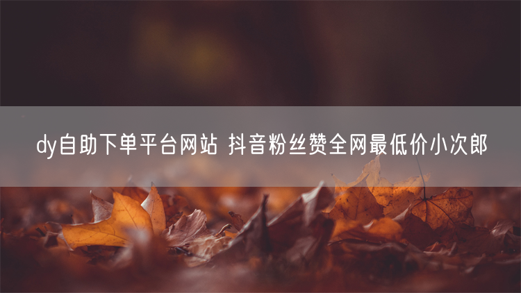 dy自助下单平台网站 抖音粉丝赞全网最低价小次郎