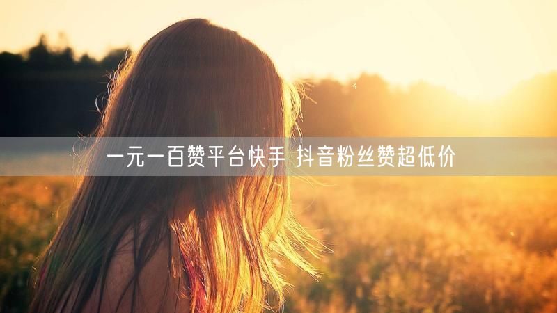 一元一百赞平台快手 抖音粉丝赞超低价