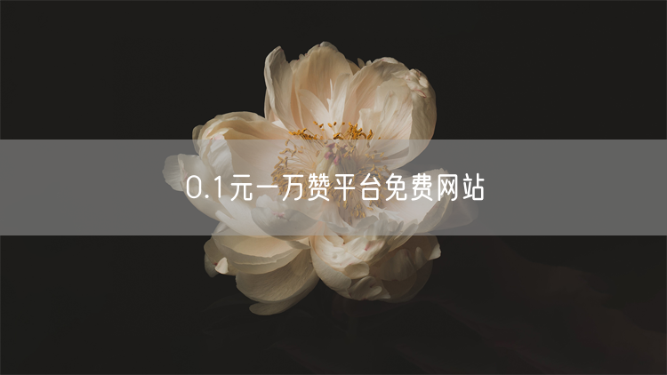 0.1元一万赞平台免费网站