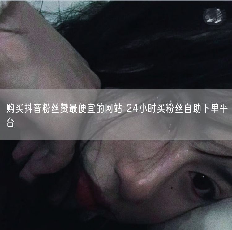 购买抖音粉丝赞最便宜的网站 24小时买粉丝自助下单平台