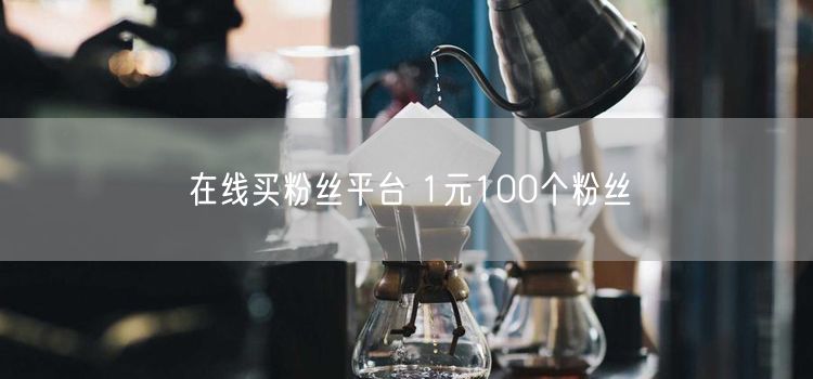 在线买粉丝平台 1元100个粉丝