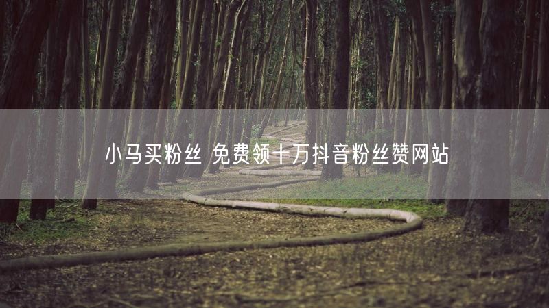 小马买粉丝 免费领十万抖音粉丝赞网站