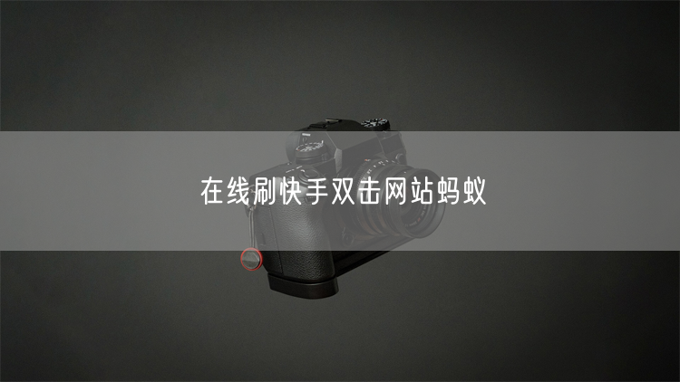 在线刷快手双击网站蚂蚁