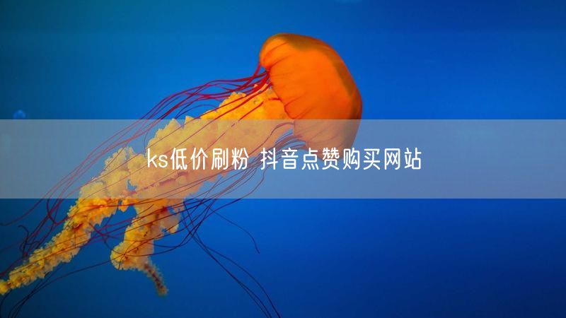 ks低价刷粉 抖音点赞购买网站