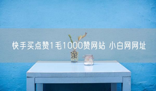 快手买点赞1毛1000赞网站 小白网网址