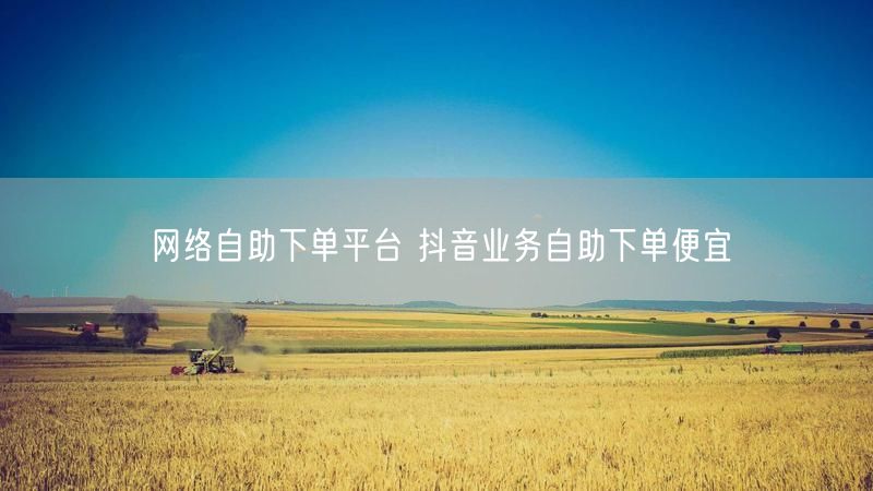 网络自助下单平台 抖音业务自助下单便宜