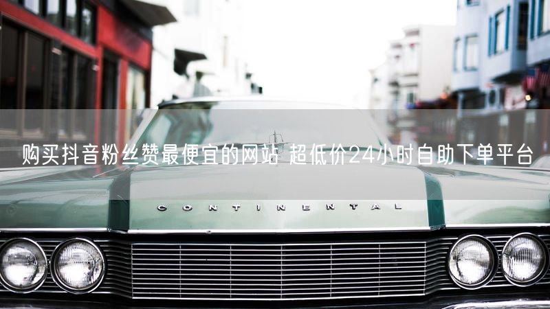 购买抖音粉丝赞最便宜的网站 超低价24小时自助下单平台