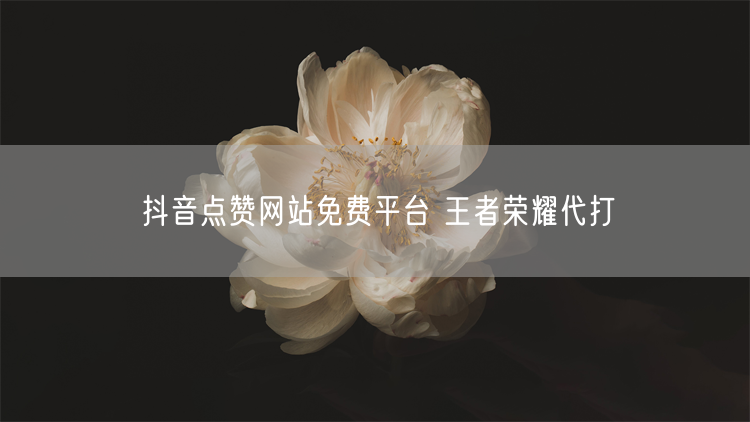 抖音点赞网站免费平台 王者荣耀代打