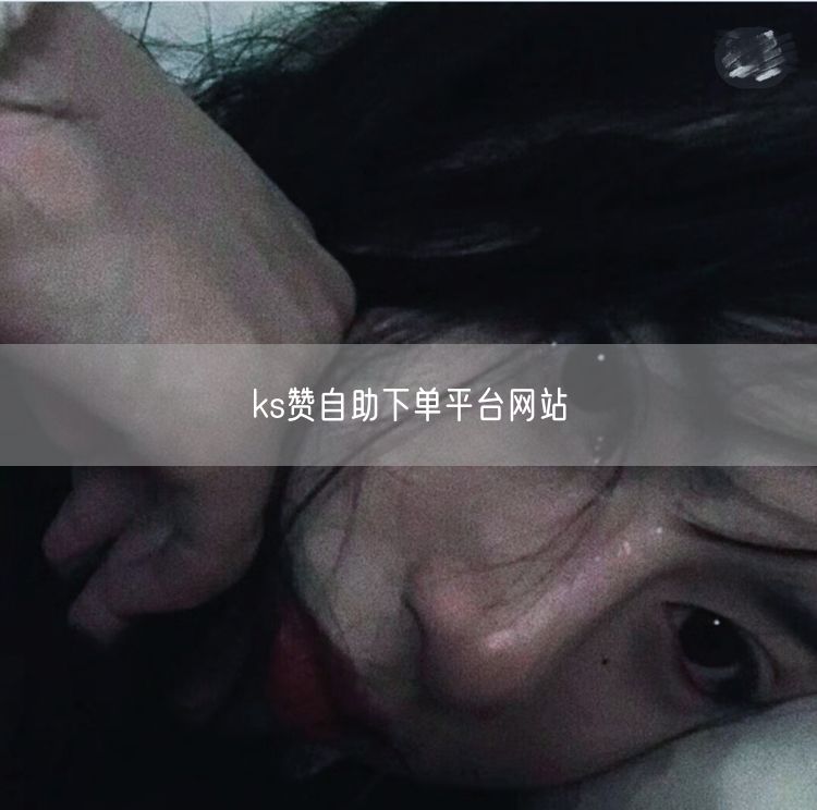 ks赞自助下单平台网站