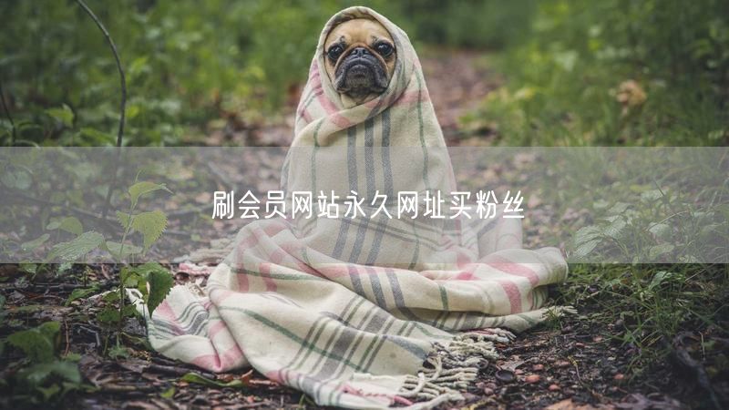 刷会员网站永久网址买粉丝