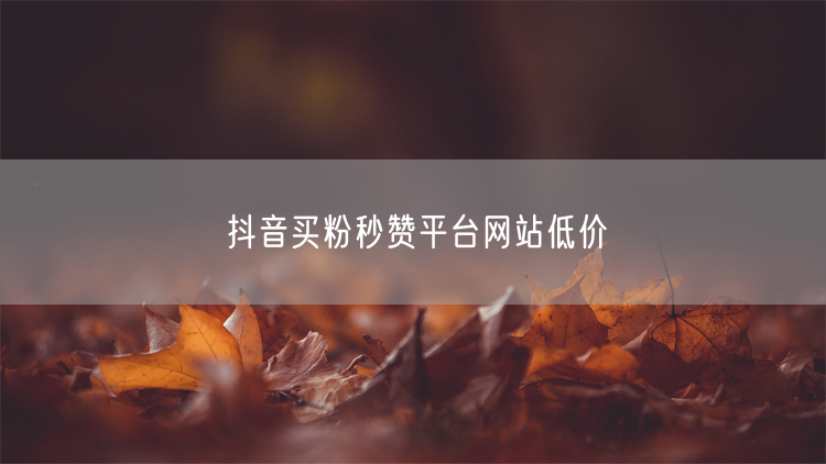 抖音买粉秒赞平台网站低价