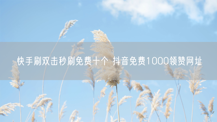 快手刷双击秒刷免费十个 抖音免费1000领赞网址