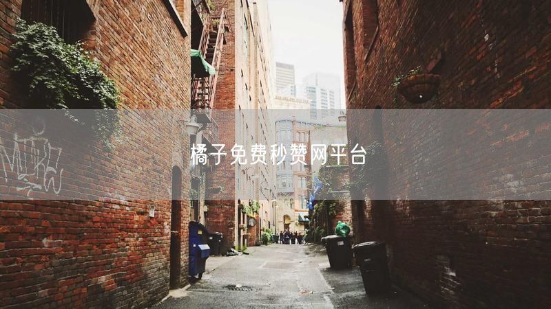橘子免费秒赞网平台