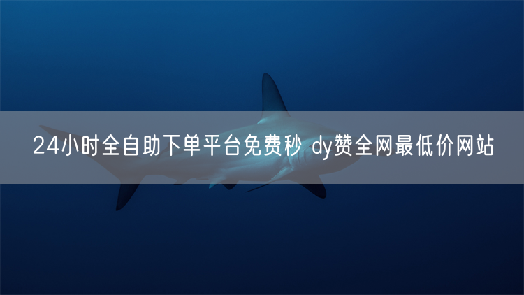 24小时全自助下单平台免费秒 dy赞全网最低价网站