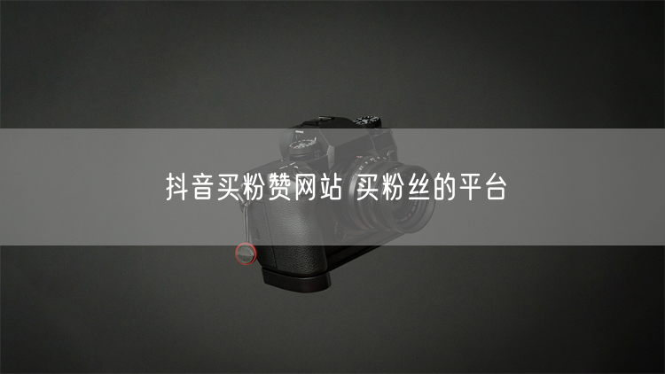 抖音买粉赞网站 买粉丝的平台