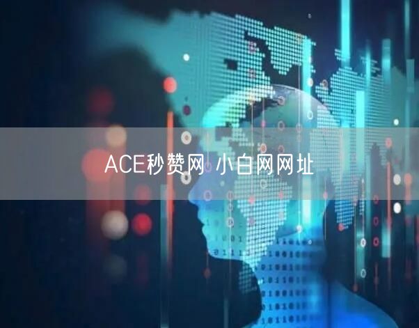 ACE秒赞网 小白网网址
