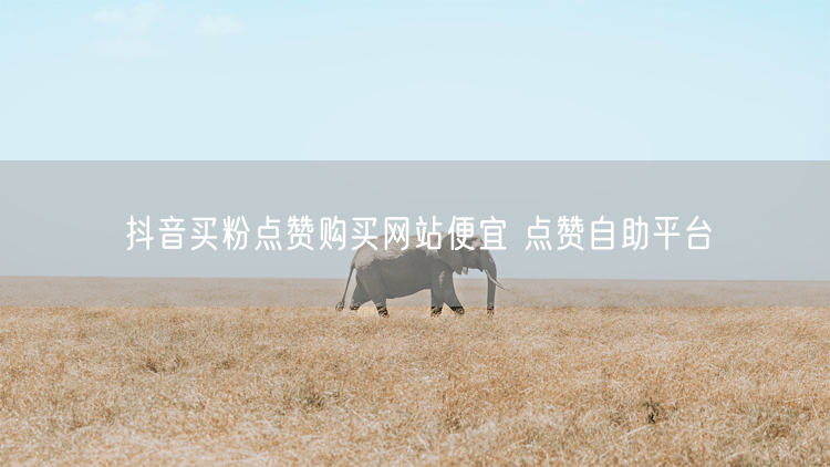 抖音买粉点赞购买网站便宜 点赞自助平台