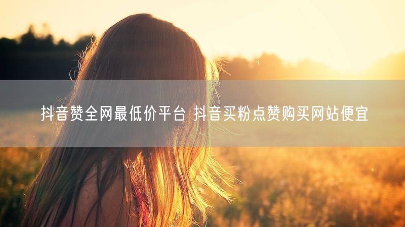 抖音赞全网最低价平台 抖音买粉点赞购买网站便宜